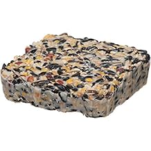 Morning Song 11431 Birdwatchers' Blend Suet Wild Bird Food, 10.75-Ounce